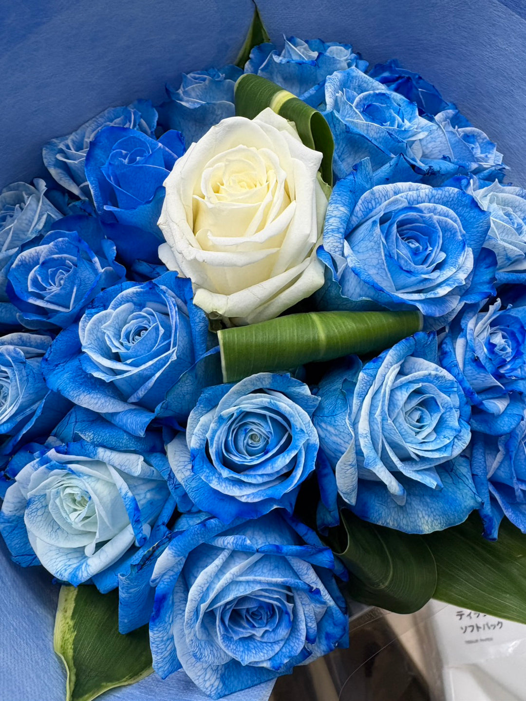 代表承継のお知らせ｜21年の歩み☆そして未来へ